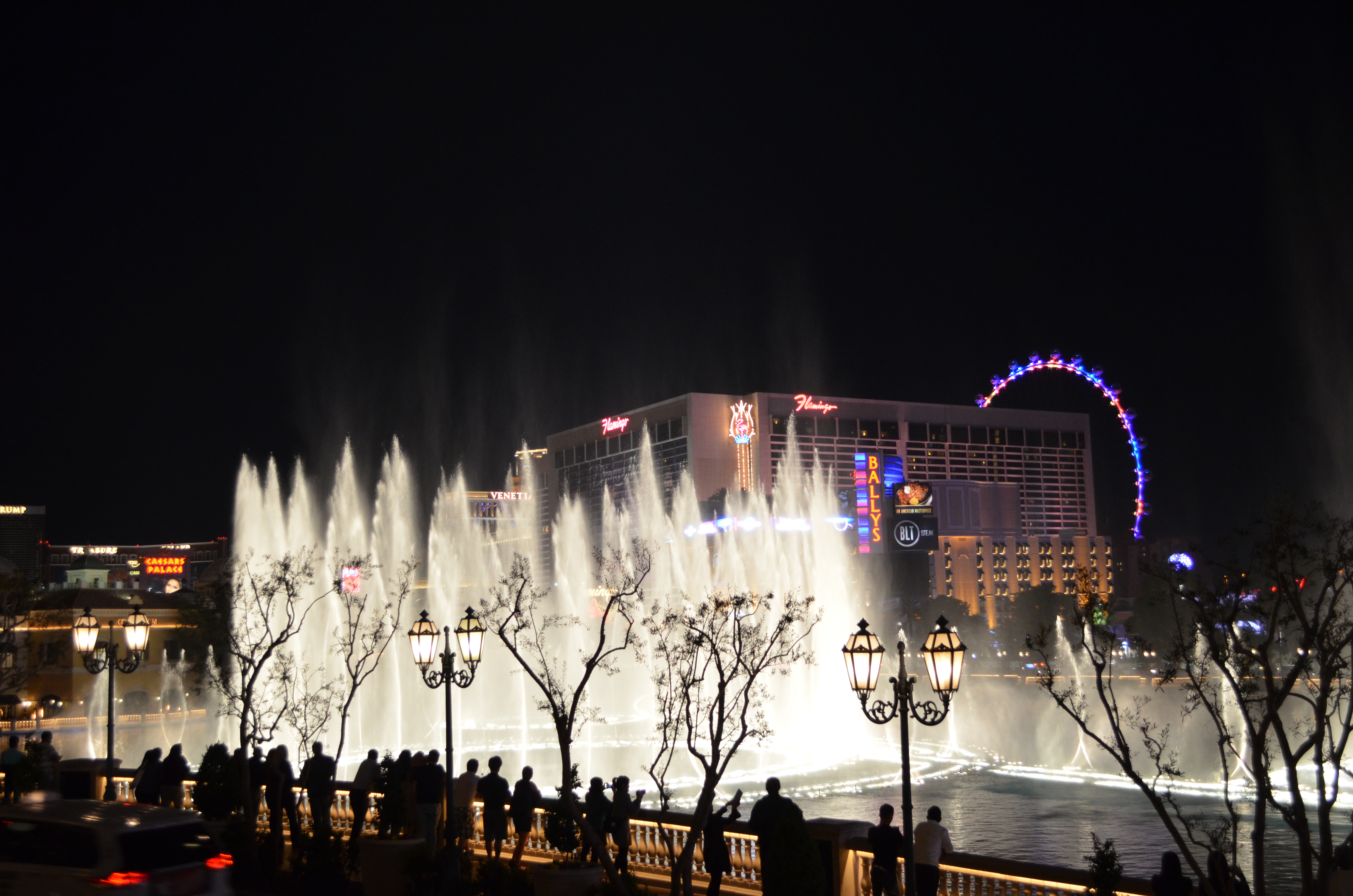 ./2016/04 - Las Vegas/Bellagio Fountains/DSC_0087.JPG